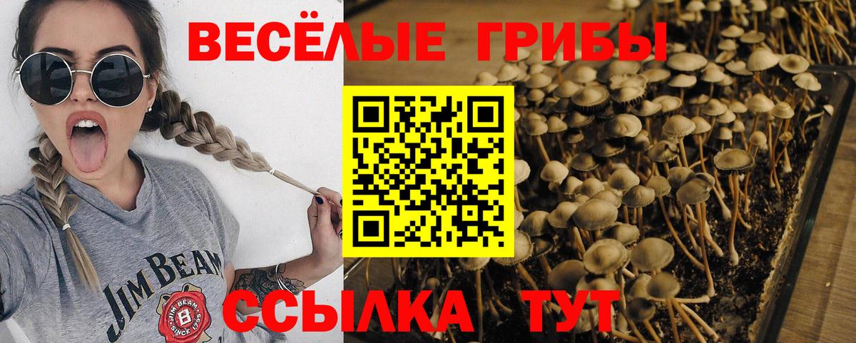 Галлюциногенные грибы прущие грибы Бийск